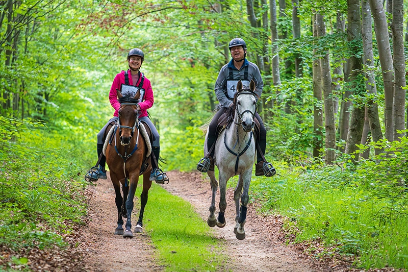 Deux cavaliers et leurs chevaux lors d'une course d'endurance