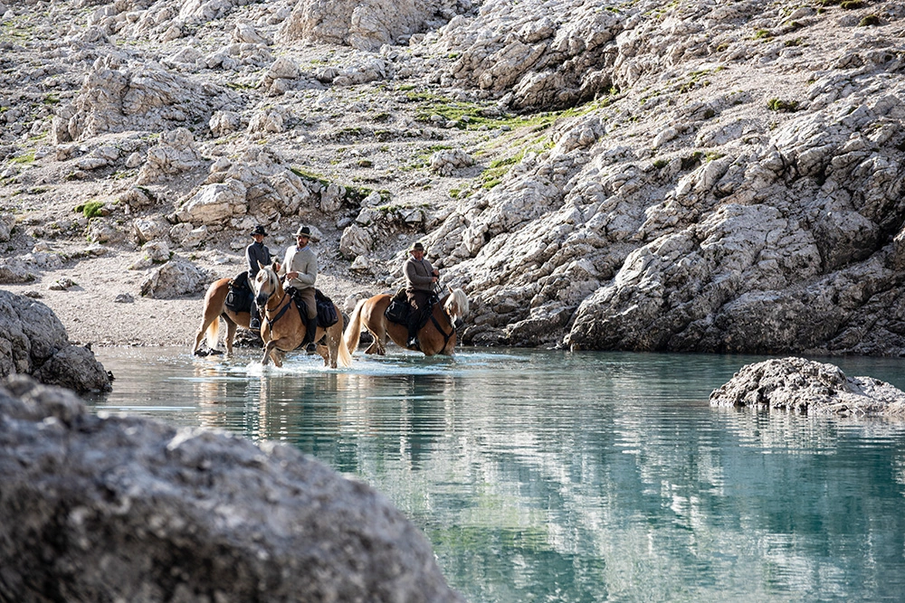 Chevaux buvant dans une rivière dans les Dolomites en Italie
