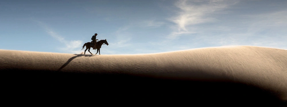 Un cavalier et son cheval sur une dune en Namibie