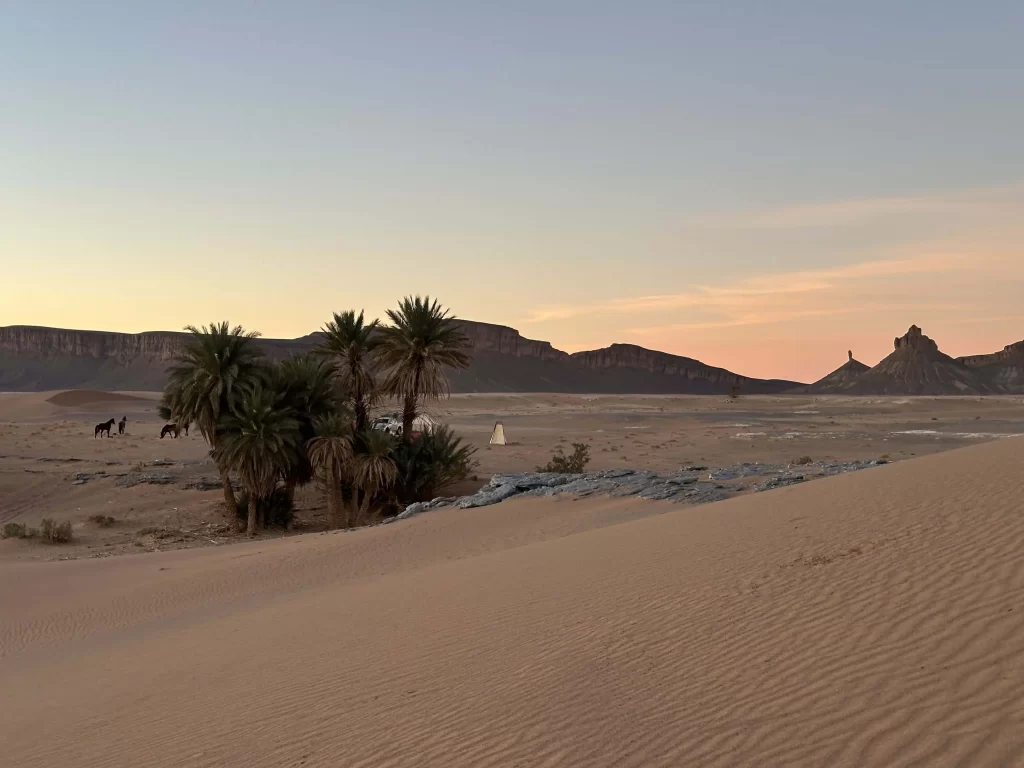 camp dans le desert du sahara au maroc avec palmiers et montagnes à l'arrière
