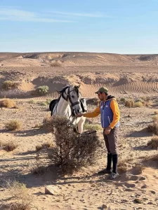 cavalier qui a un geste tendre envers son cheval dans le desert du sahara