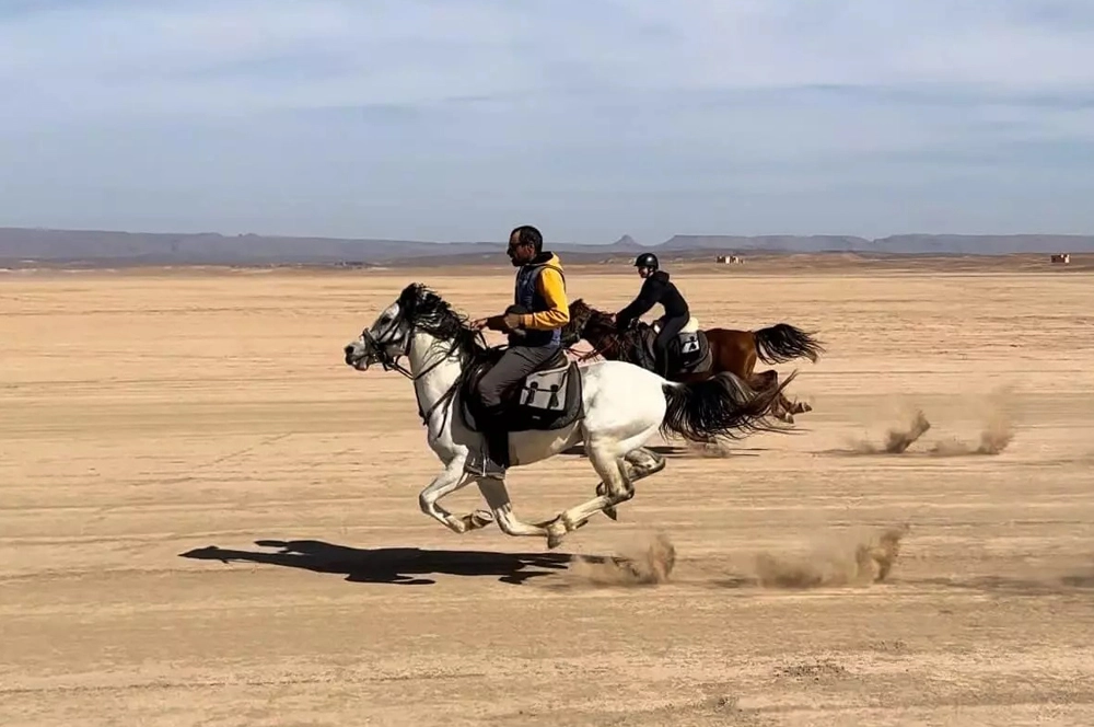 un cavalier au galop sur son cheval dans le désert du Sahara au Maroc