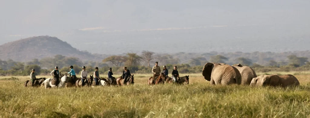 des cavaliers dans la savane devant un éléphant