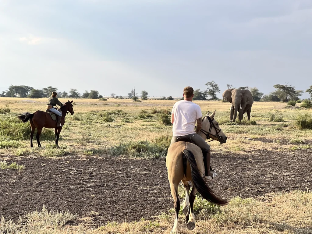 des cavaliers qui font face et observent un éléphant dans les steppes maasai en tanzanie
