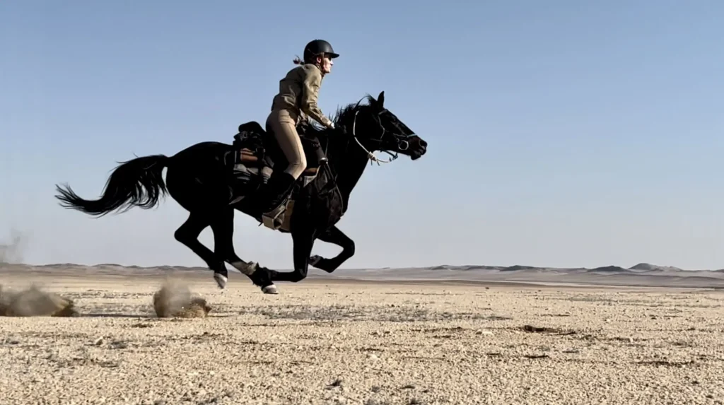 un cavalier au galop dans le desert du namib en namibie