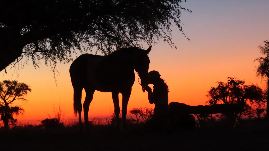 un cavalier et son cheval dans un moment de complicité dans les couleurs oranges du coucher du soleil en namibie