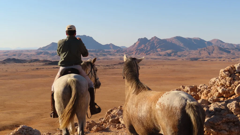 un cavalier et un cheval en liberté au sommet d'une montagne observant le desert du namib en namibie