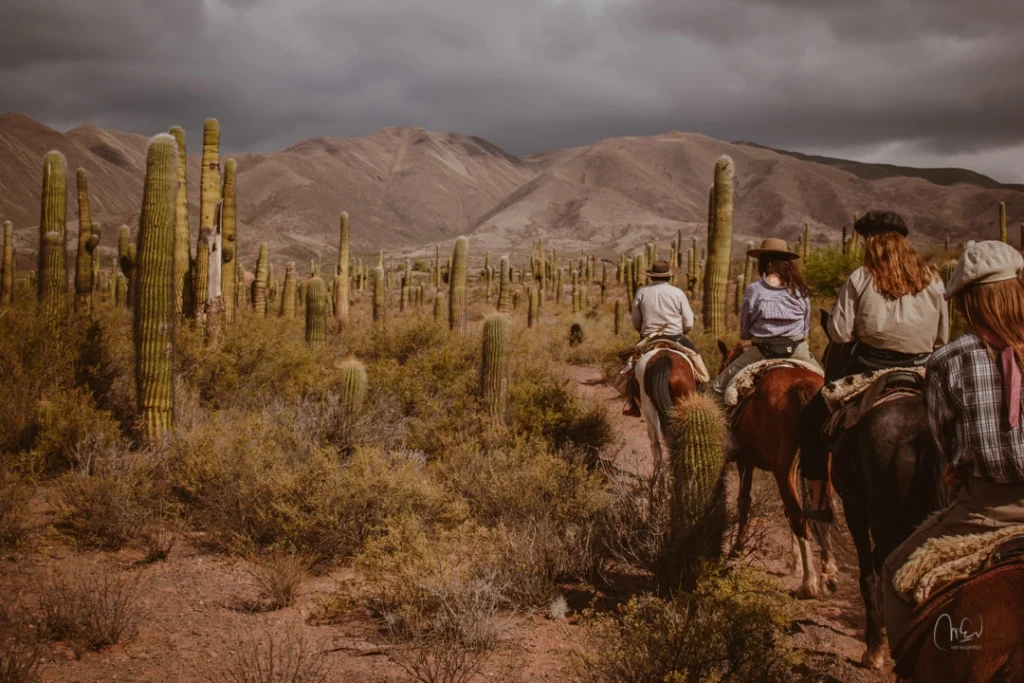 des cavaliers à cheval dans le desert de salta en argentine au milieu des cactus