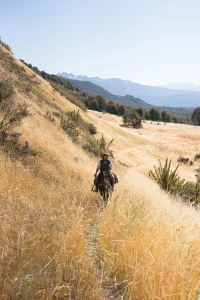 un cavalier dans les herbes hautes jaune de patagonie