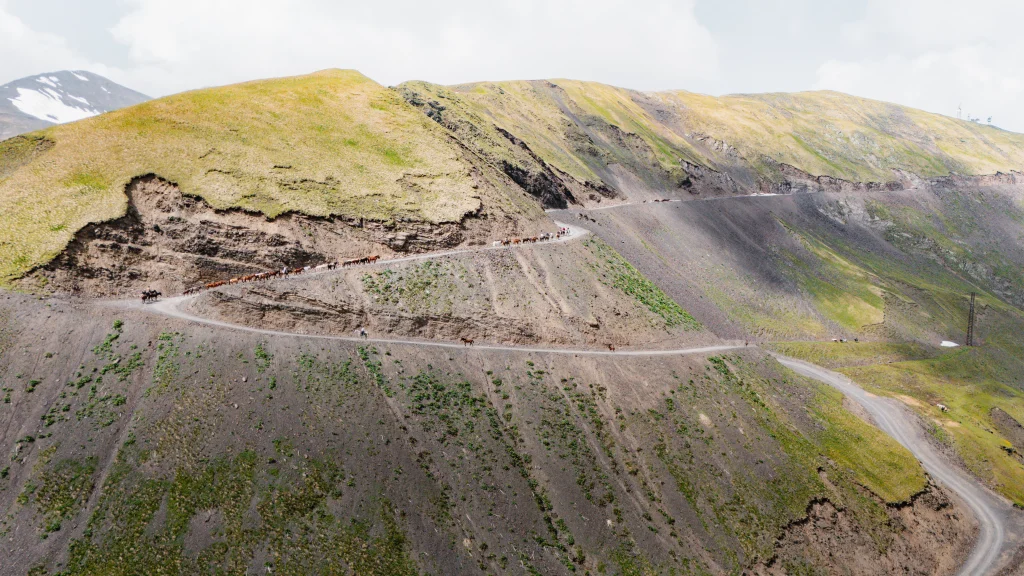 un troupeau de chevaux qui marchent sur le chemin dans la montagne de géorgie dans le tusheti