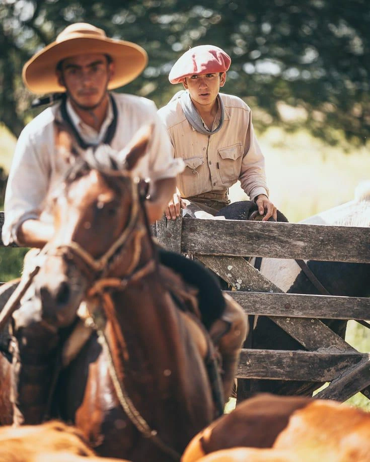 des gauchos au travail avec les vaches en argentine